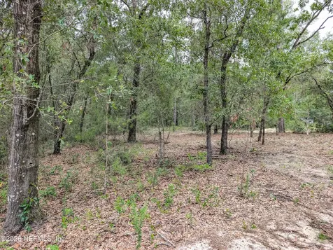 238 Keuka Road Interlachen FL 32148