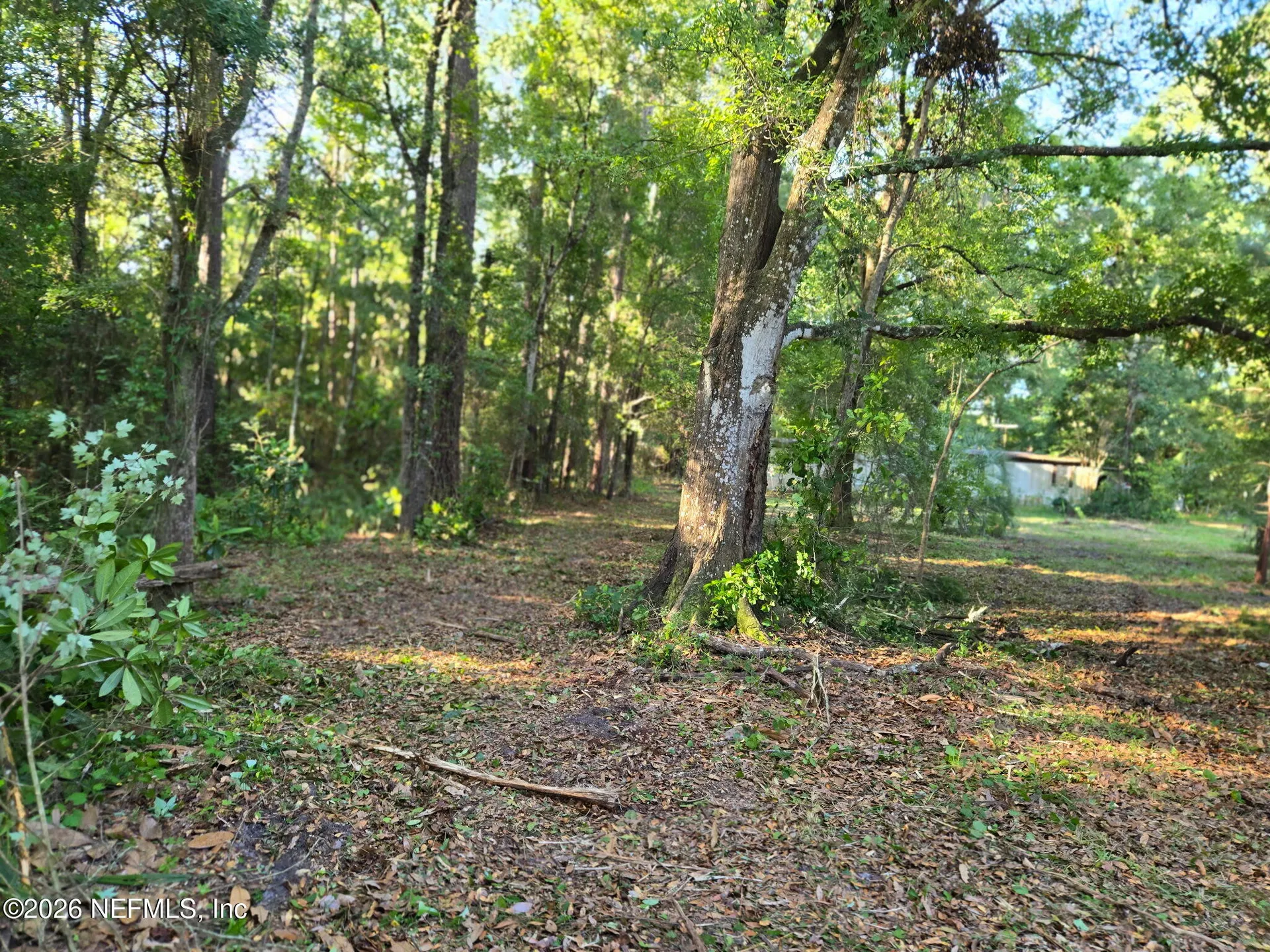 2709 Kristi Court Middleburg FL 32068