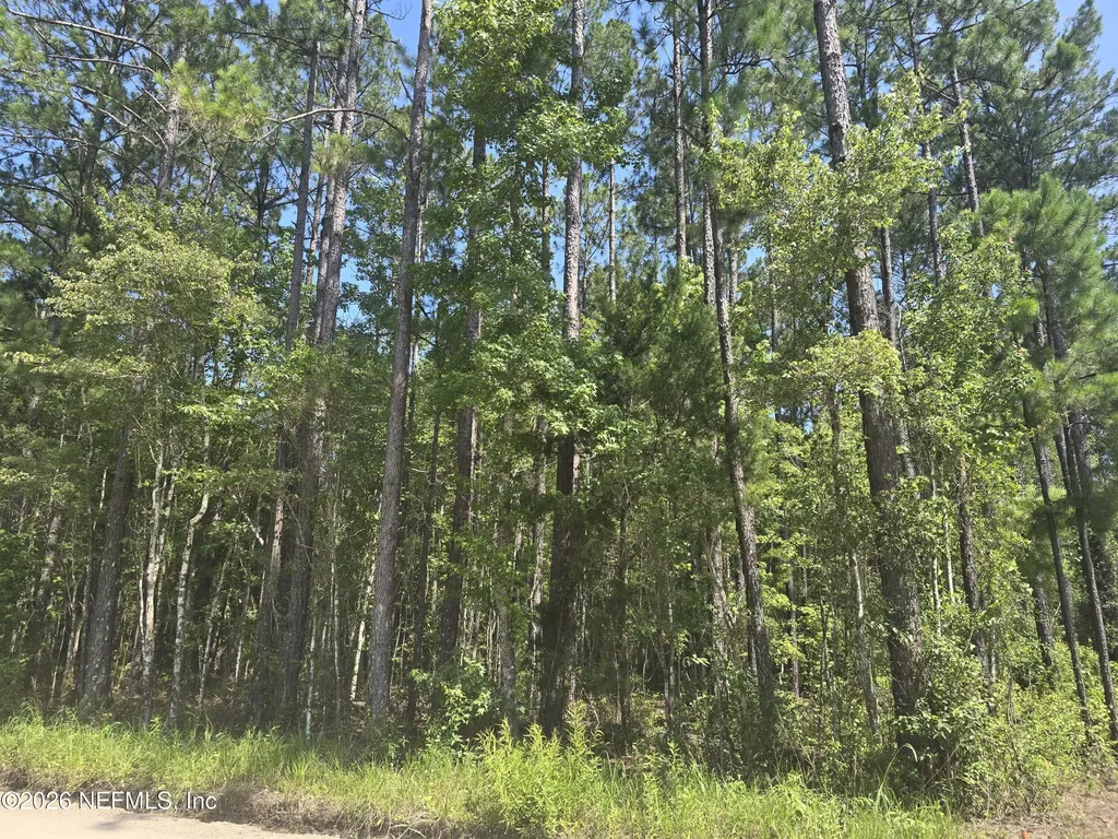 0 Bismark Road Callahan FL 32011