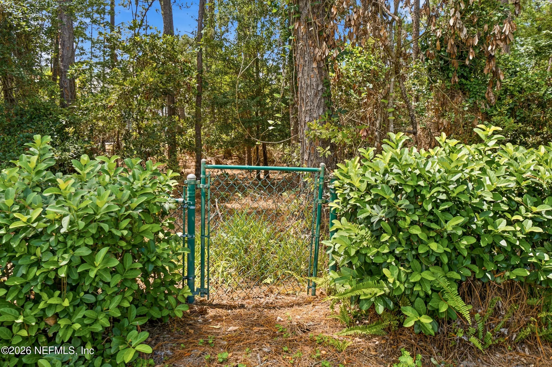 8688 Rolling Brook Lane Jacksonville FL 32256