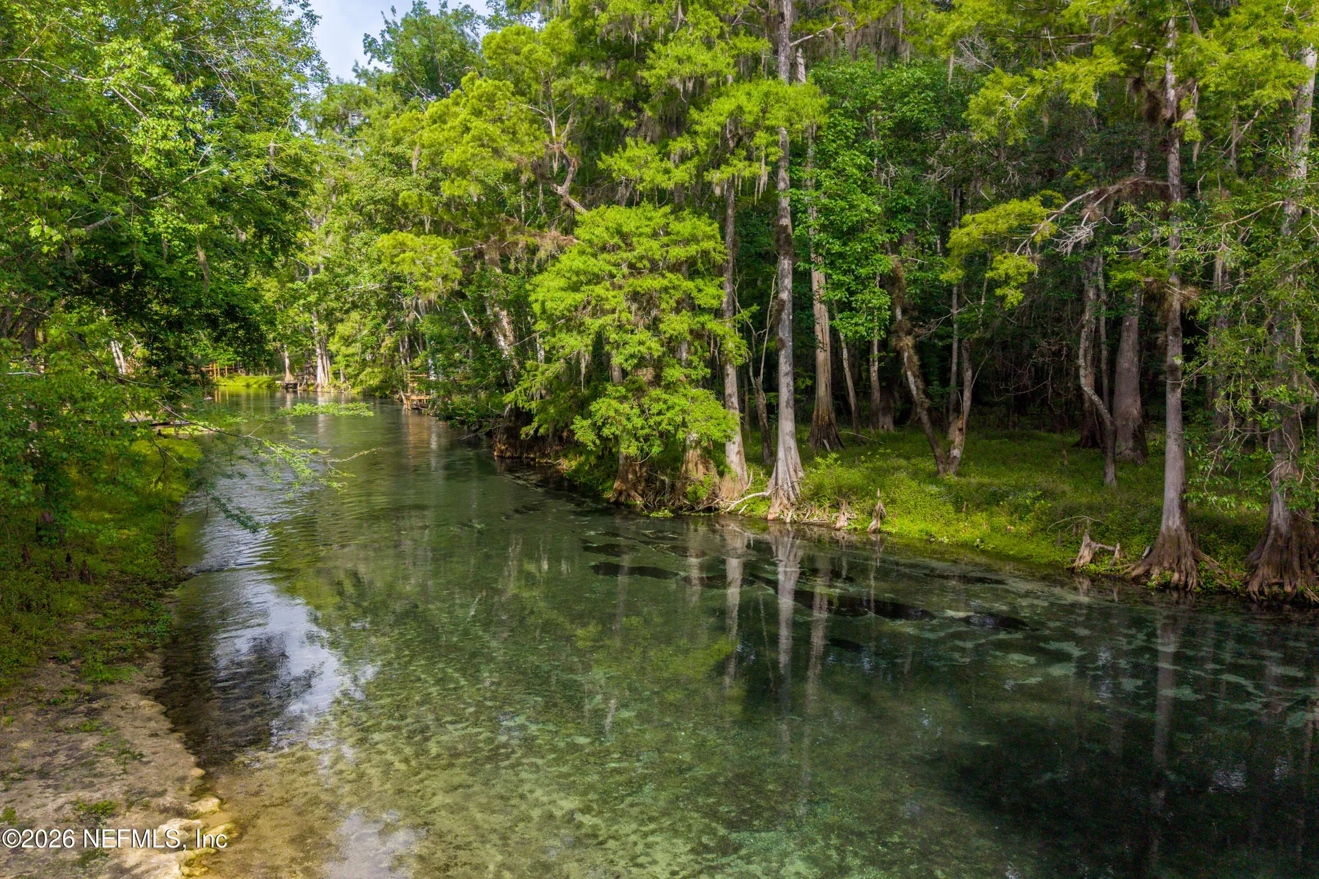 1216 SW Nebraska Terrace Fort White FL 32038