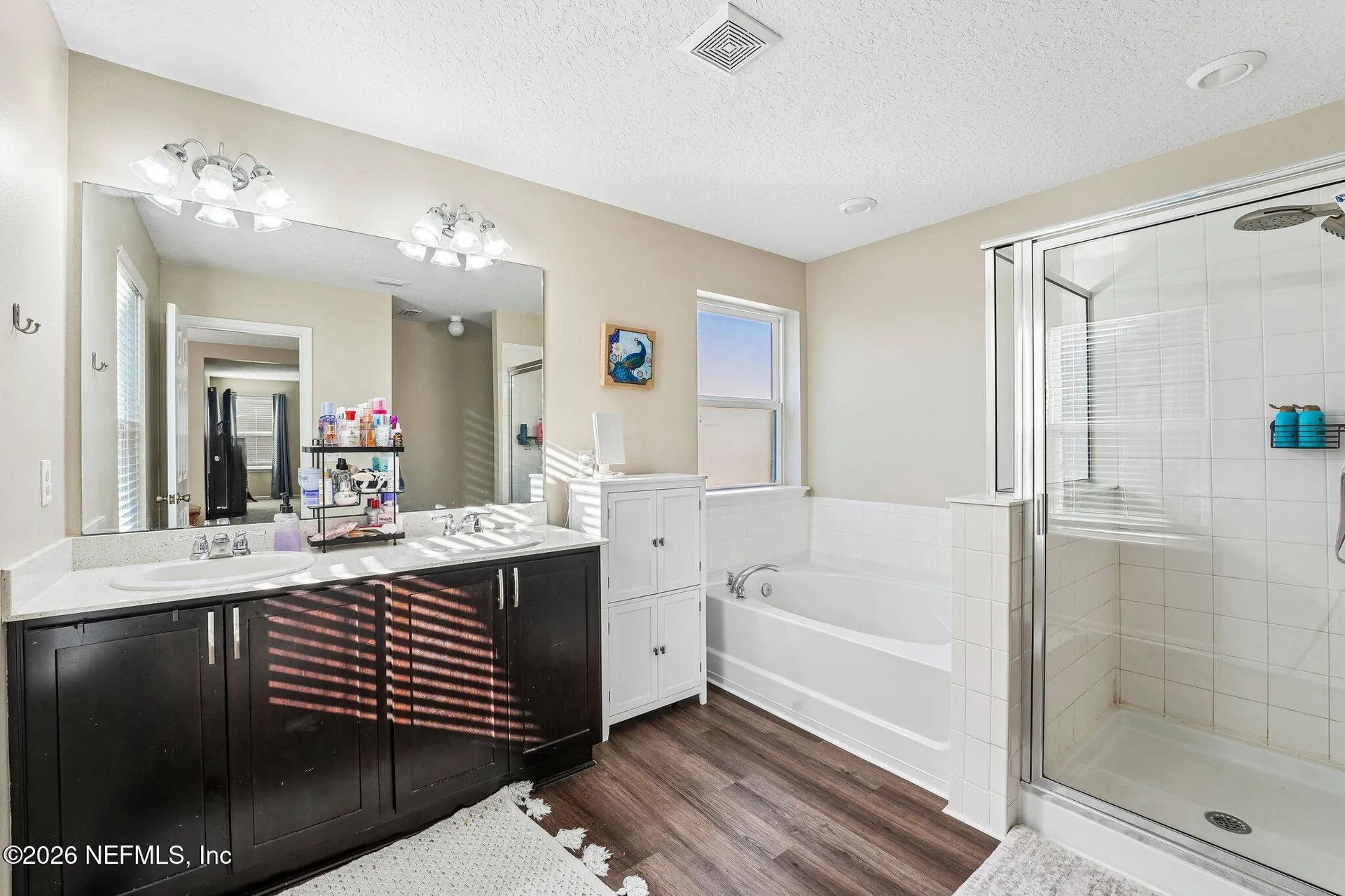 3124 Angora Bay Drive Middleburg FL 32068