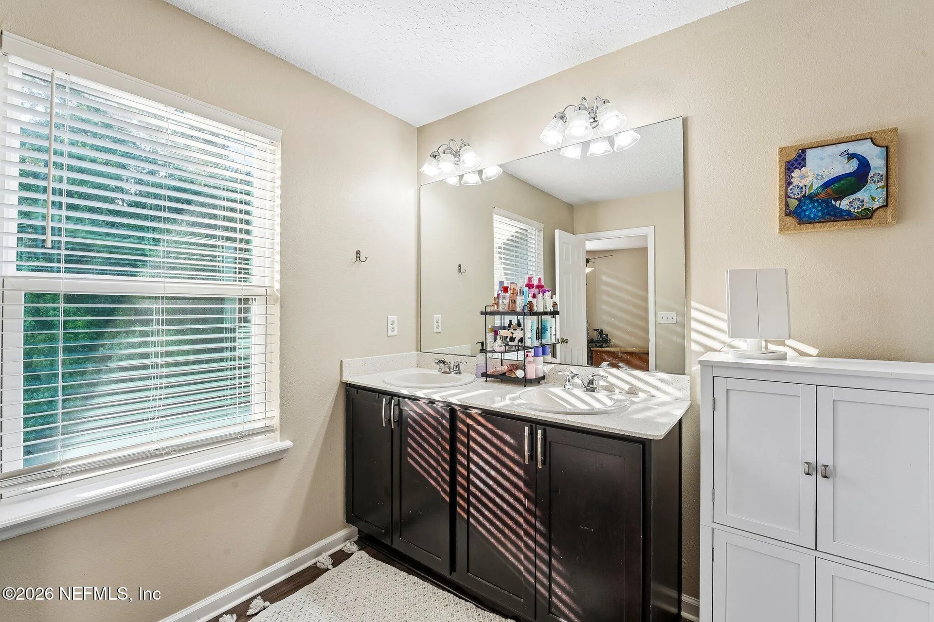 3124 Angora Bay Drive Middleburg FL 32068