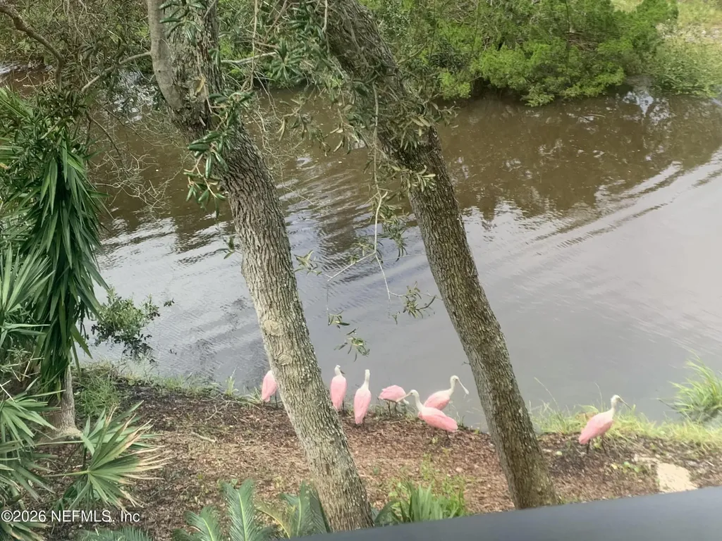 1301 Windjammer Lane St. Augustine FL 32084