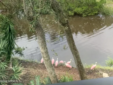 1301 Windjammer Lane St. Augustine FL 32084