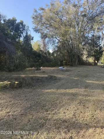 3477 Olin Baxley Middleburg FL 32068