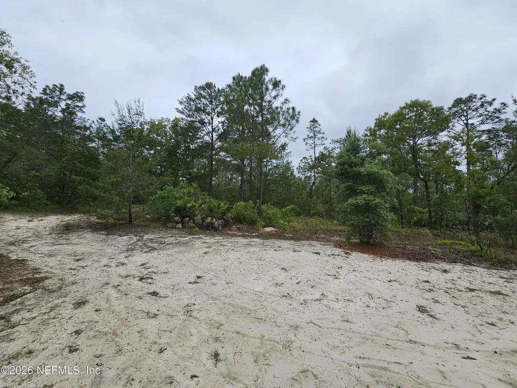 248 Saddleback Trail Palatka FL 32177