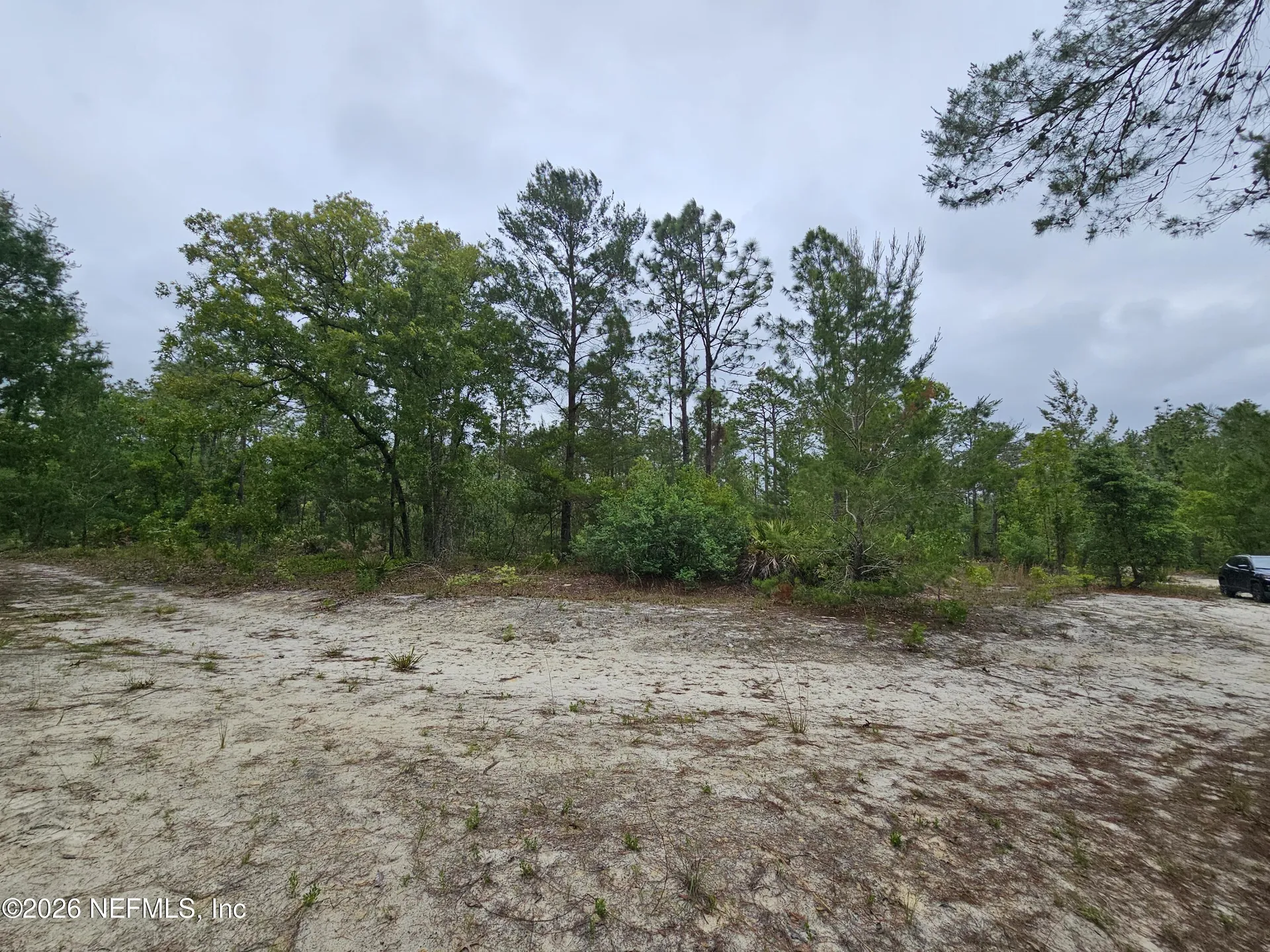 248 Saddleback Trail Palatka FL 32177