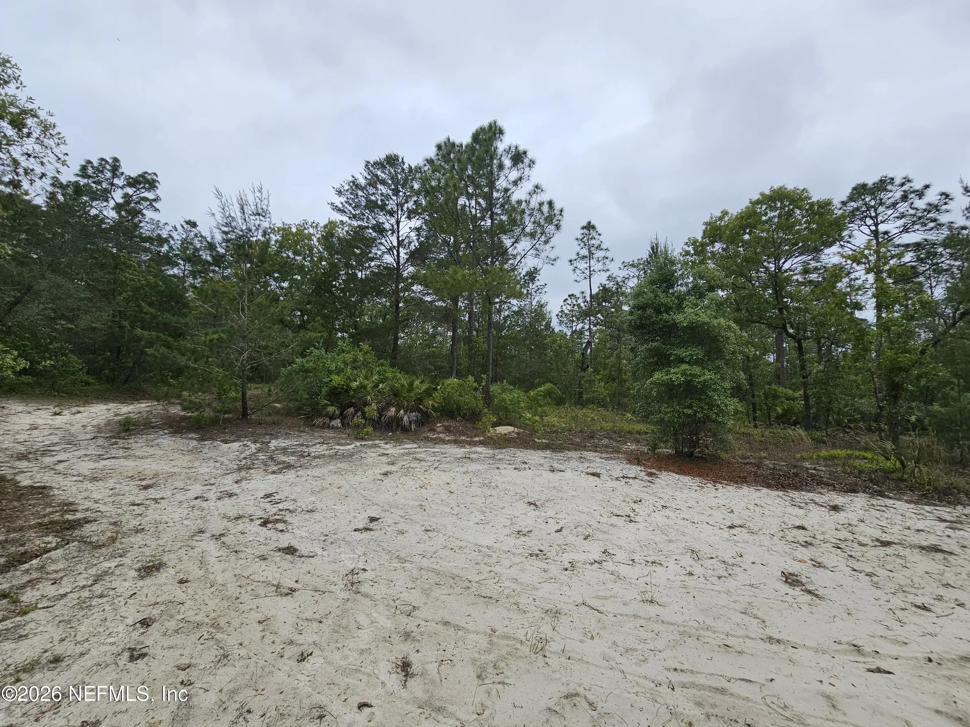 248 Saddleback Trail Palatka FL 32177