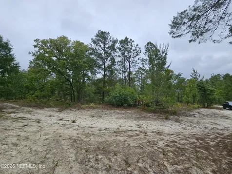 248 Saddleback Trail Palatka FL 32177