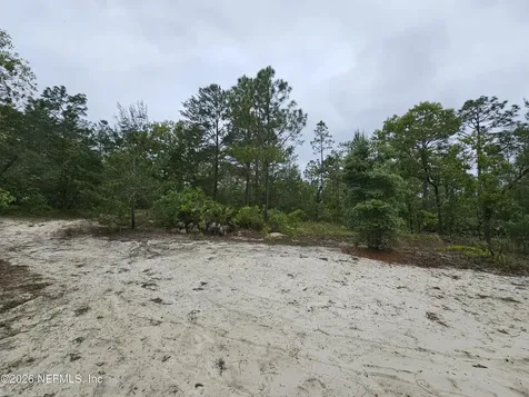 248 Saddleback Trail Palatka FL 32177