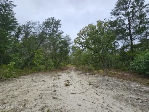 248 Saddleback Trail Palatka FL 32177
