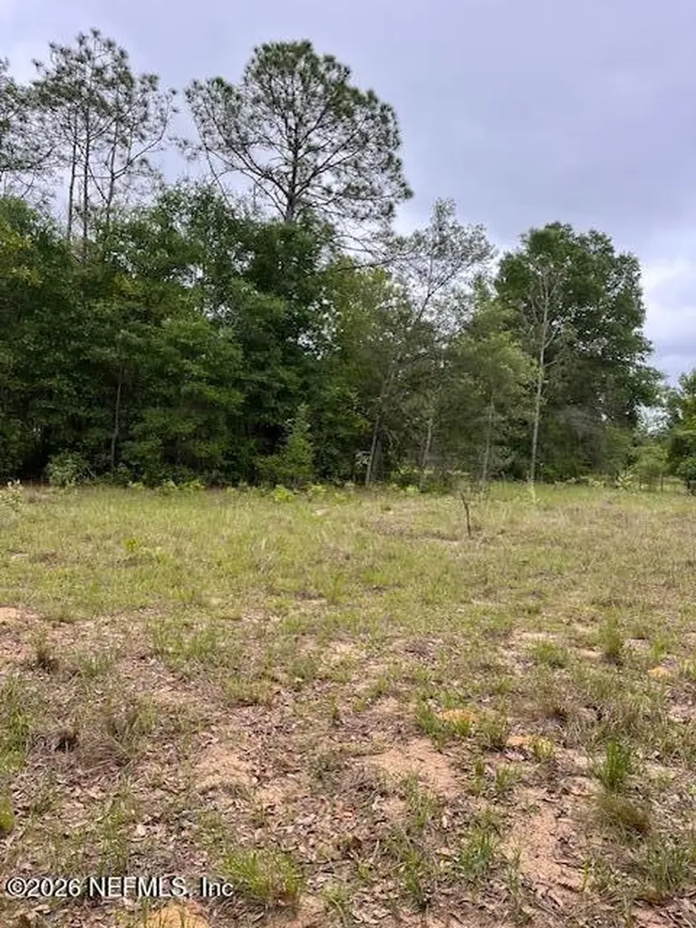 0 Milton Avenue Interlachen FL 32148