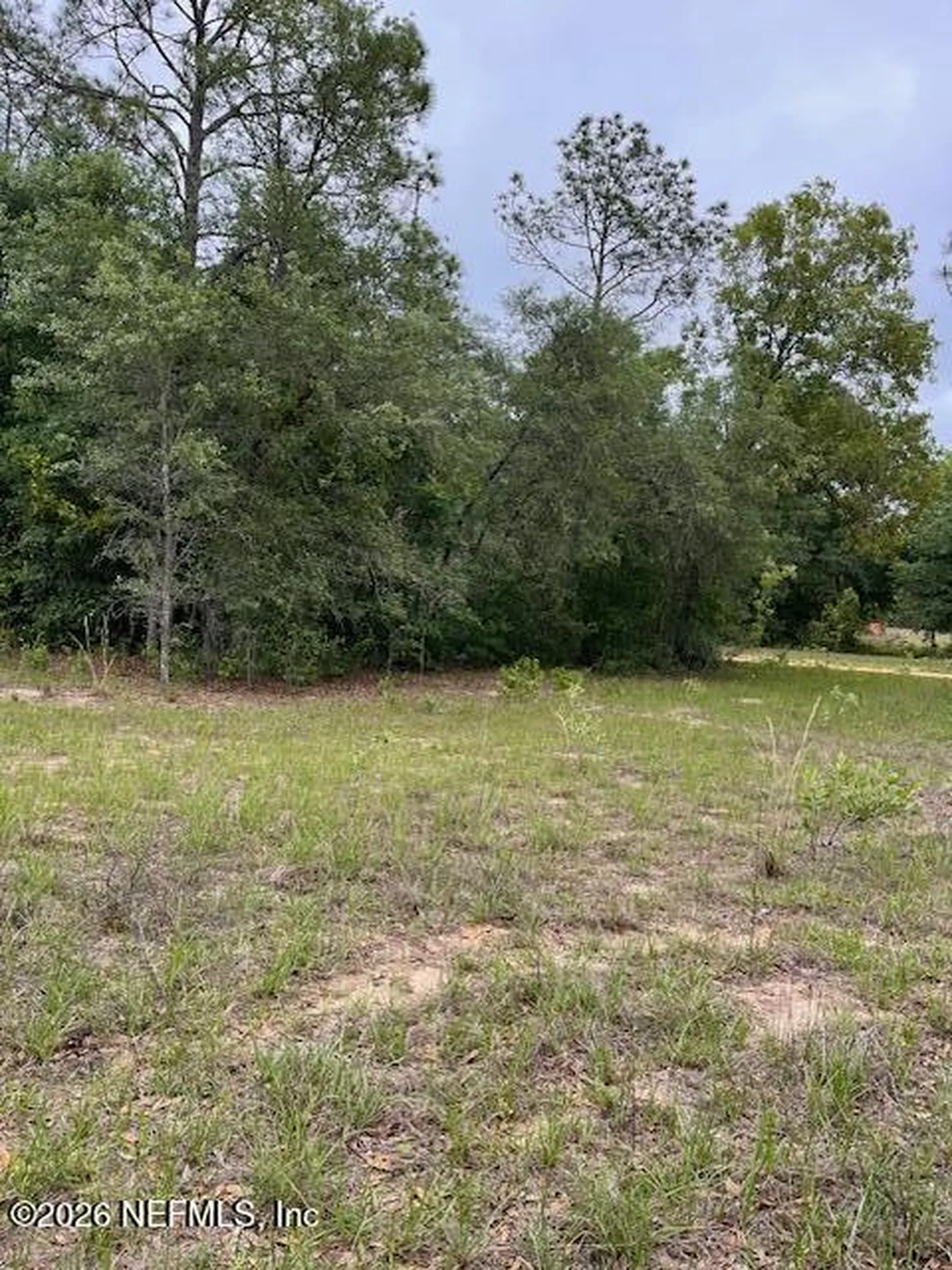 0 Milton Avenue Interlachen FL 32148