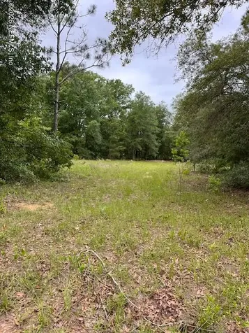 0 Milton Avenue Interlachen FL 32148