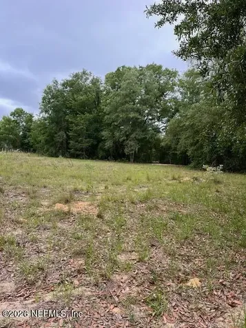 0 Milton Avenue Interlachen FL 32148