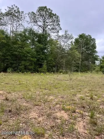 0 Milton Avenue Interlachen FL 32148