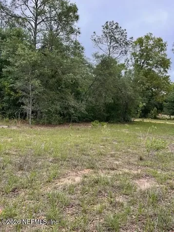 0 Milton Avenue Interlachen FL 32148