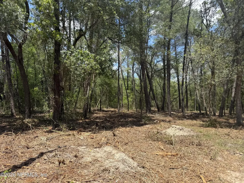 Xxx S County Road 315 Interlachen FL 32148