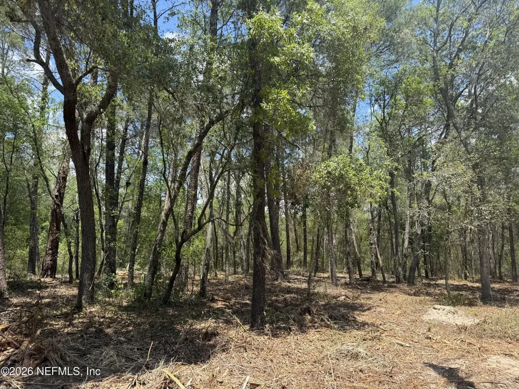 Xxx S County Road 315 Interlachen FL 32148
