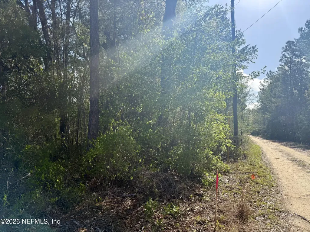 Xxx S County Road 315 Interlachen FL 32148