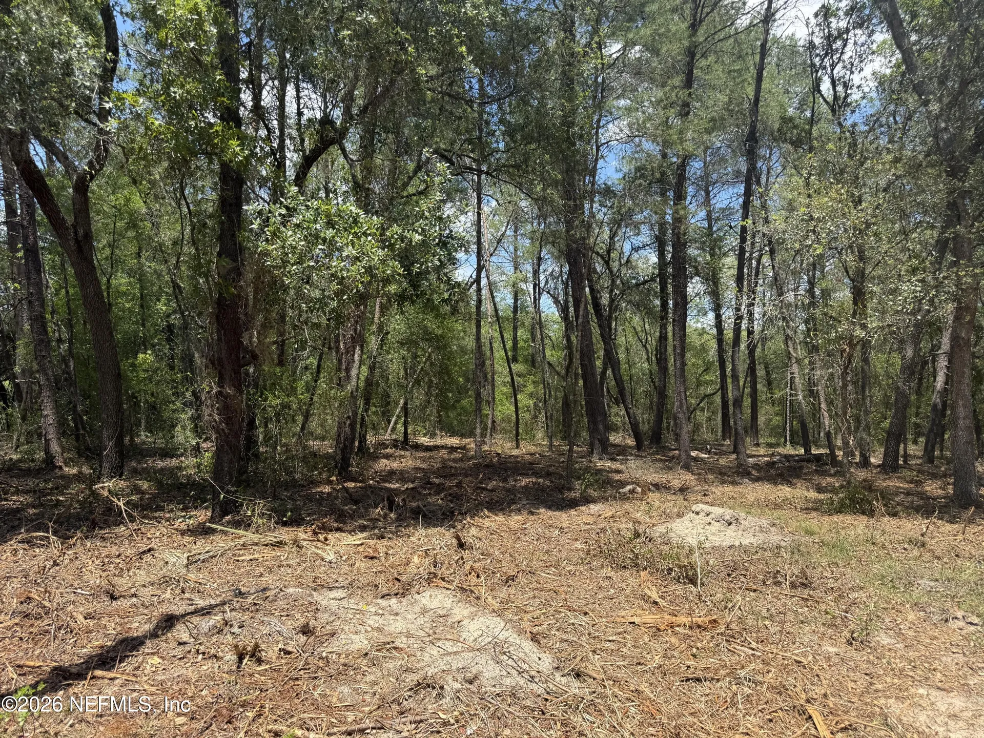Xxx S County Road 315 Interlachen FL 32148