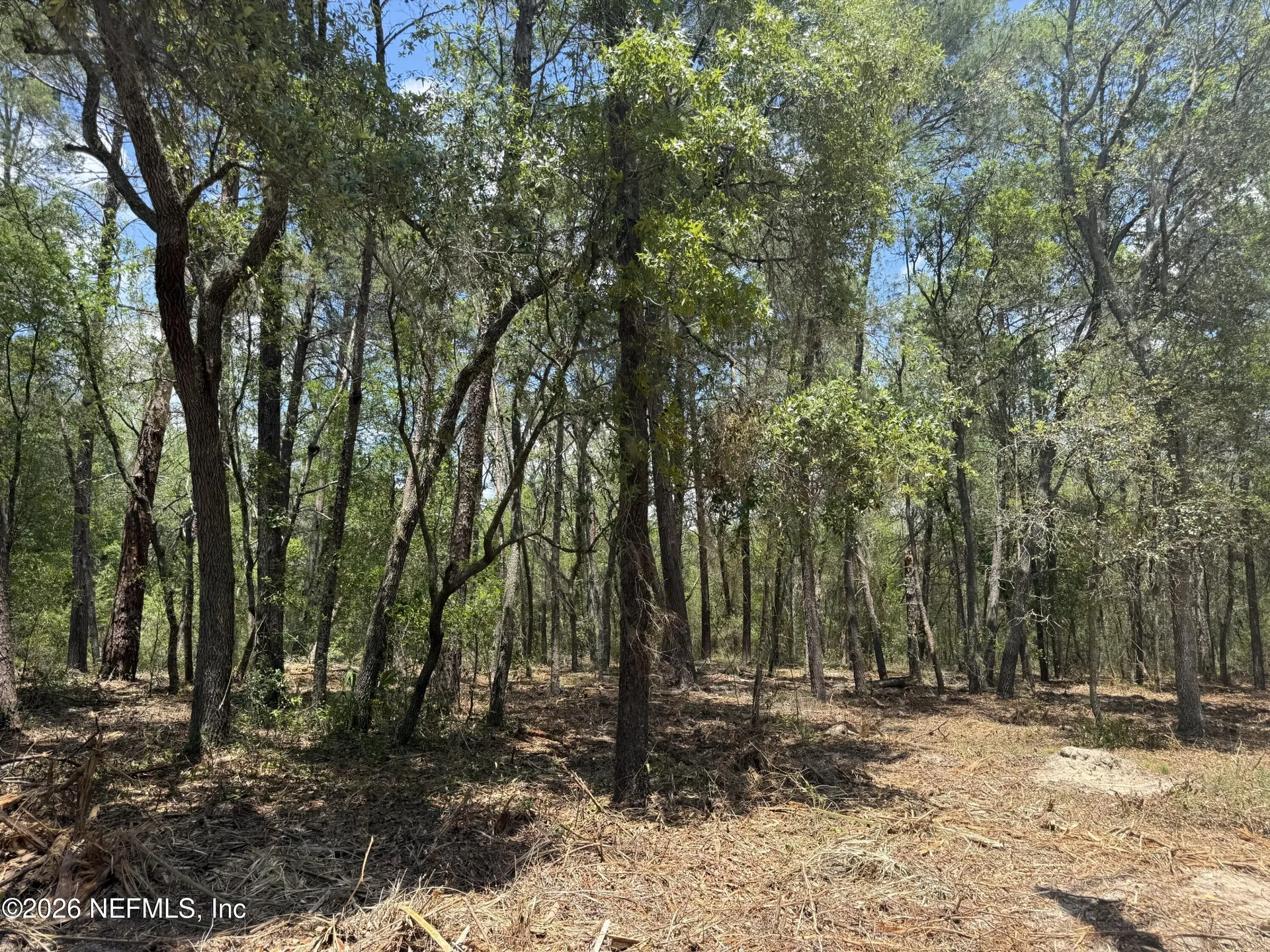 Xxx S County Road 315 Interlachen FL 32148