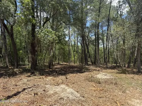 Xxx S County Road 315 Interlachen FL 32148