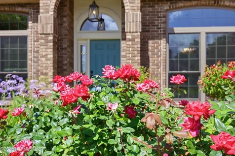 1606 Sandy Springs Drive Fleming Island FL 32003