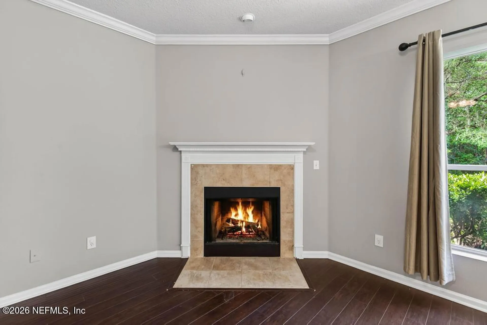 821 Crystal Spring Way St. Augustine FL 32092