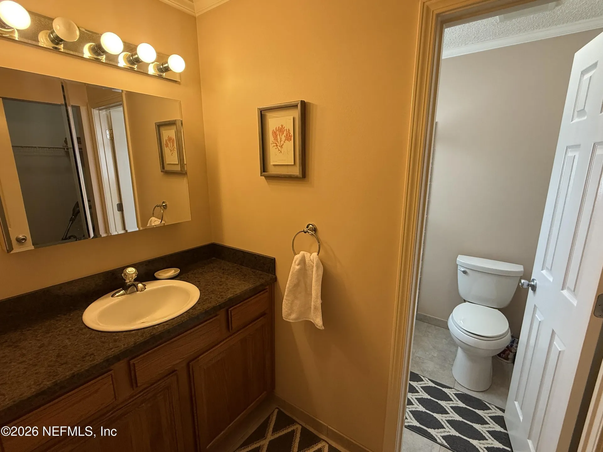 1802 Sheraton Lakes Circle Middleburg FL 32068