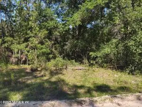 210 Duval Drive Interlachen FL 32148