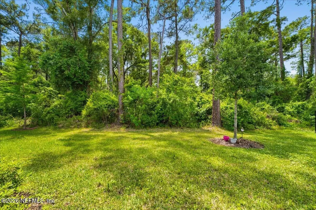 2828 Hammock Dale Court Green Cove Springs FL 32043