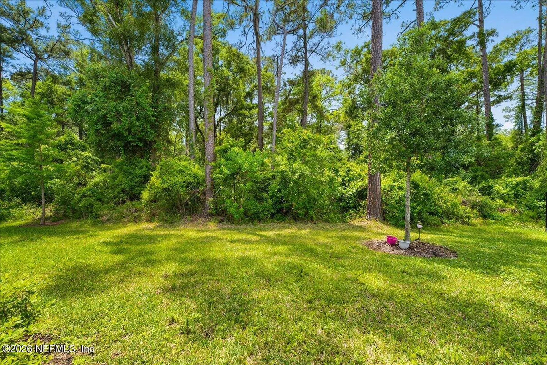 2828 Hammock Dale Court Green Cove Springs FL 32043