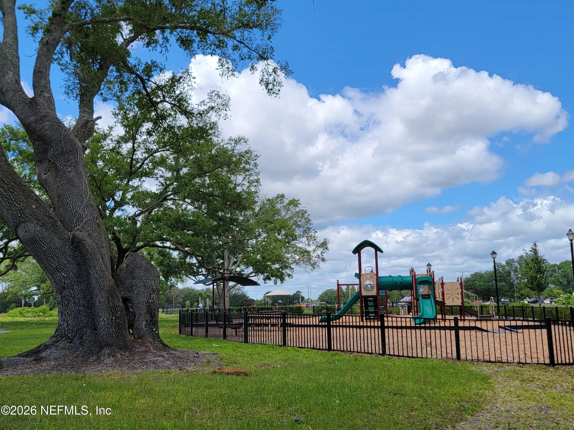 2828 Hammock Dale Court Green Cove Springs FL 32043