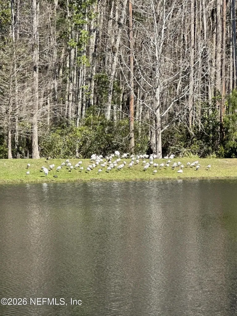 193 Palm Island Way Ponte Vedra FL 32081