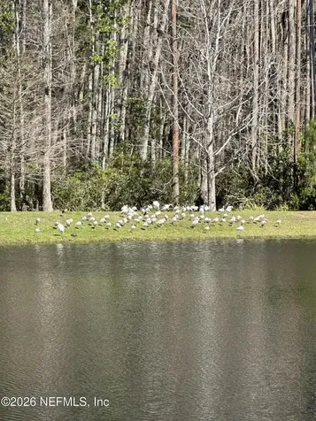 193 Palm Island Way Ponte Vedra FL 32081
