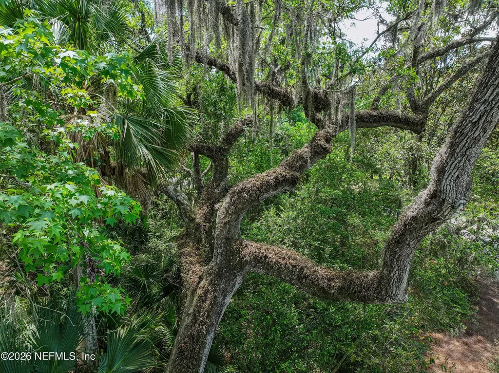 6030 Oakbrook Court Ponte Vedra Beach FL 32082