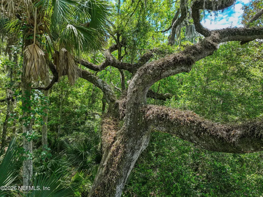 6030 Oakbrook Court Ponte Vedra Beach FL 32082