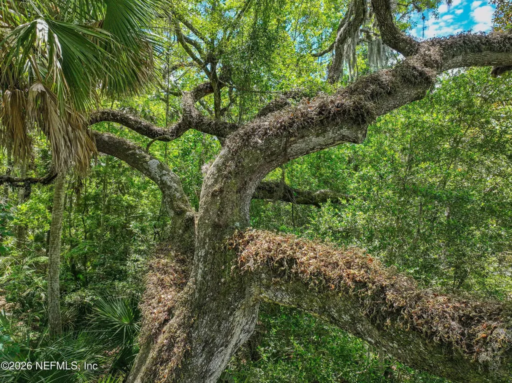 6030 Oakbrook Court Ponte Vedra Beach FL 32082