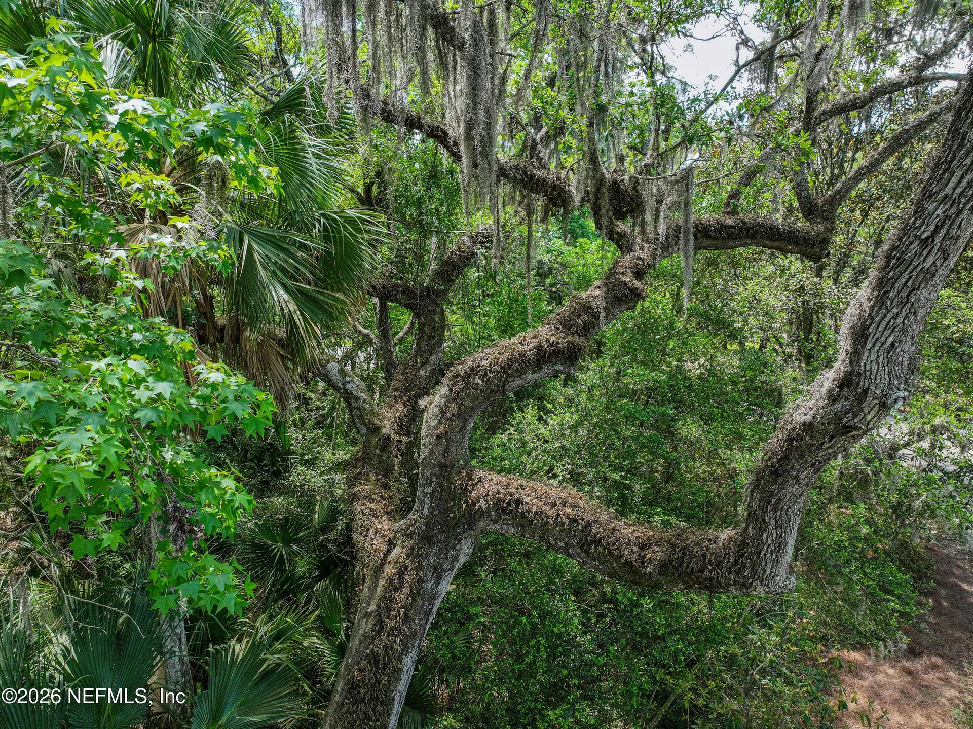 6030 Oakbrook Court Ponte Vedra Beach FL 32082