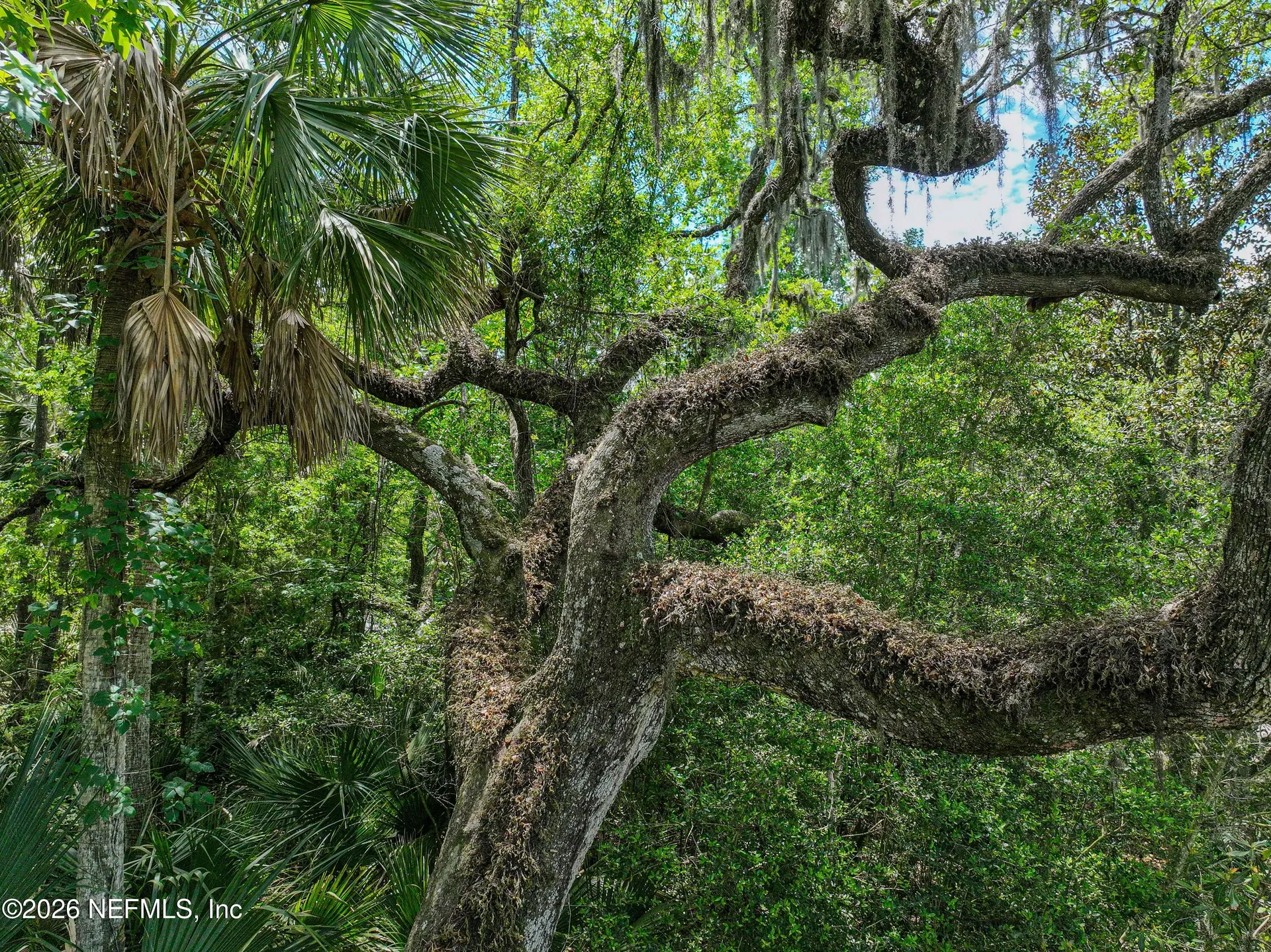 6030 Oakbrook Court Ponte Vedra Beach FL 32082