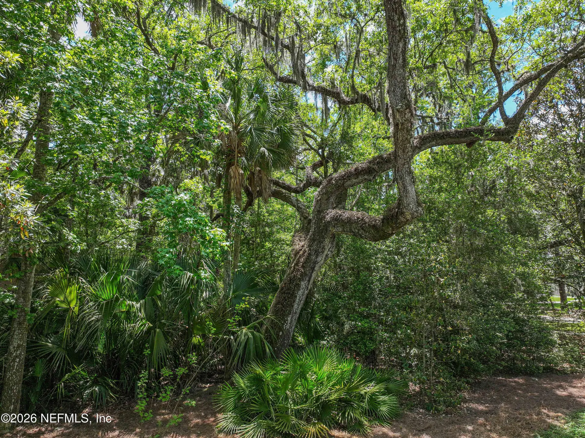 6030 Oakbrook Court Ponte Vedra Beach FL 32082