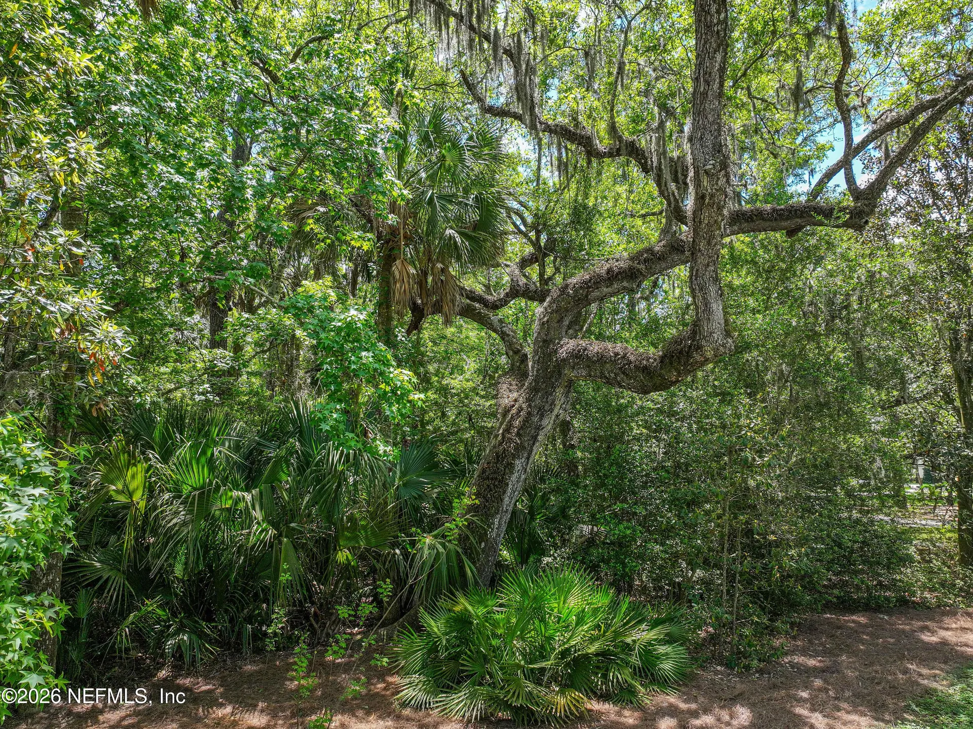 6030 Oakbrook Court Ponte Vedra Beach FL 32082