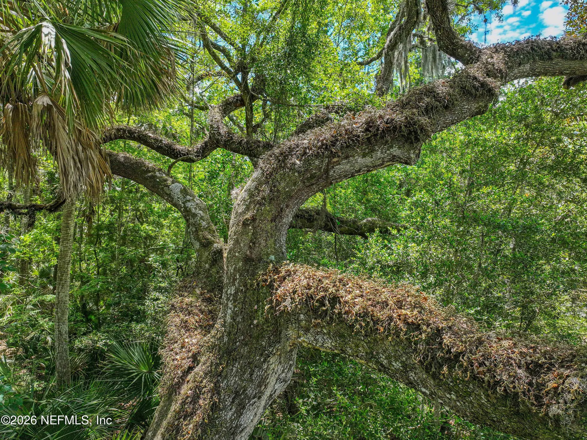 6030 Oakbrook Court Ponte Vedra Beach FL 32082