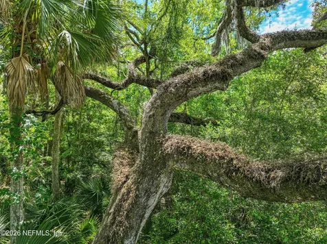 6030 Oakbrook Court Ponte Vedra Beach FL 32082