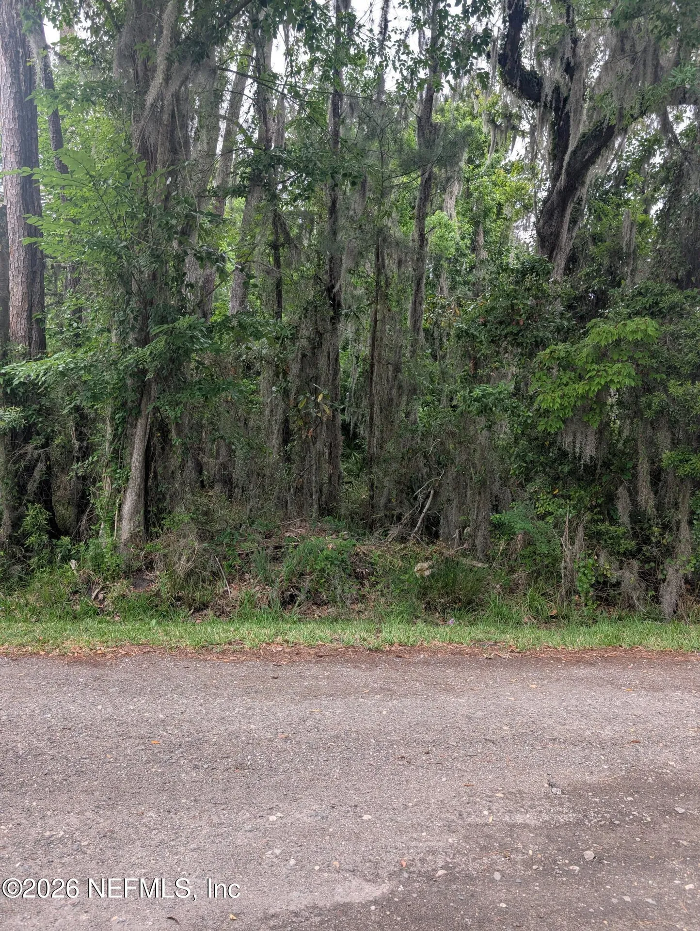 5219 Chicory Circle Middleburg FL 32068