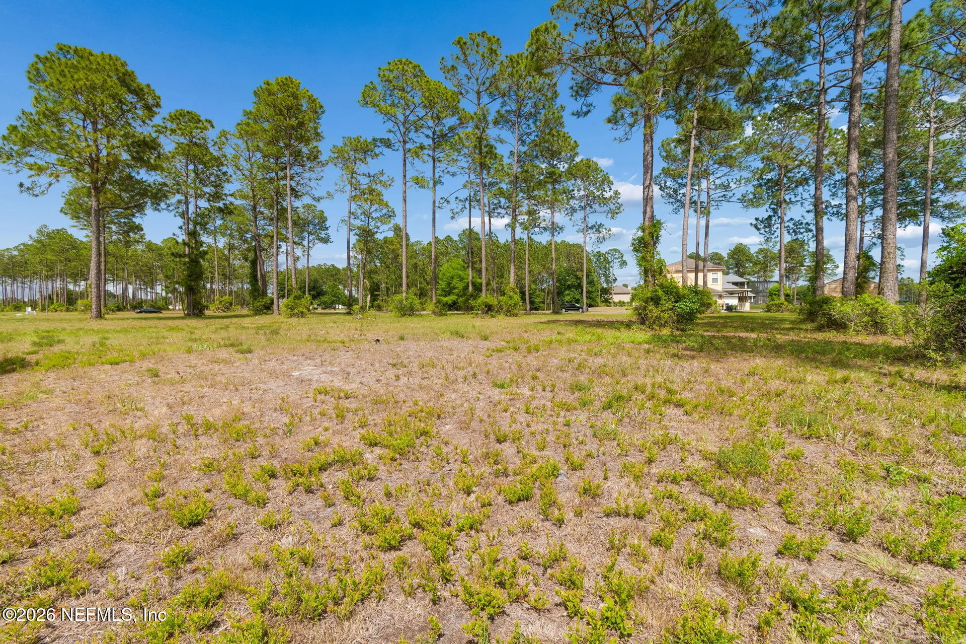 10130 Hunters Chase Court Jacksonville FL 32219