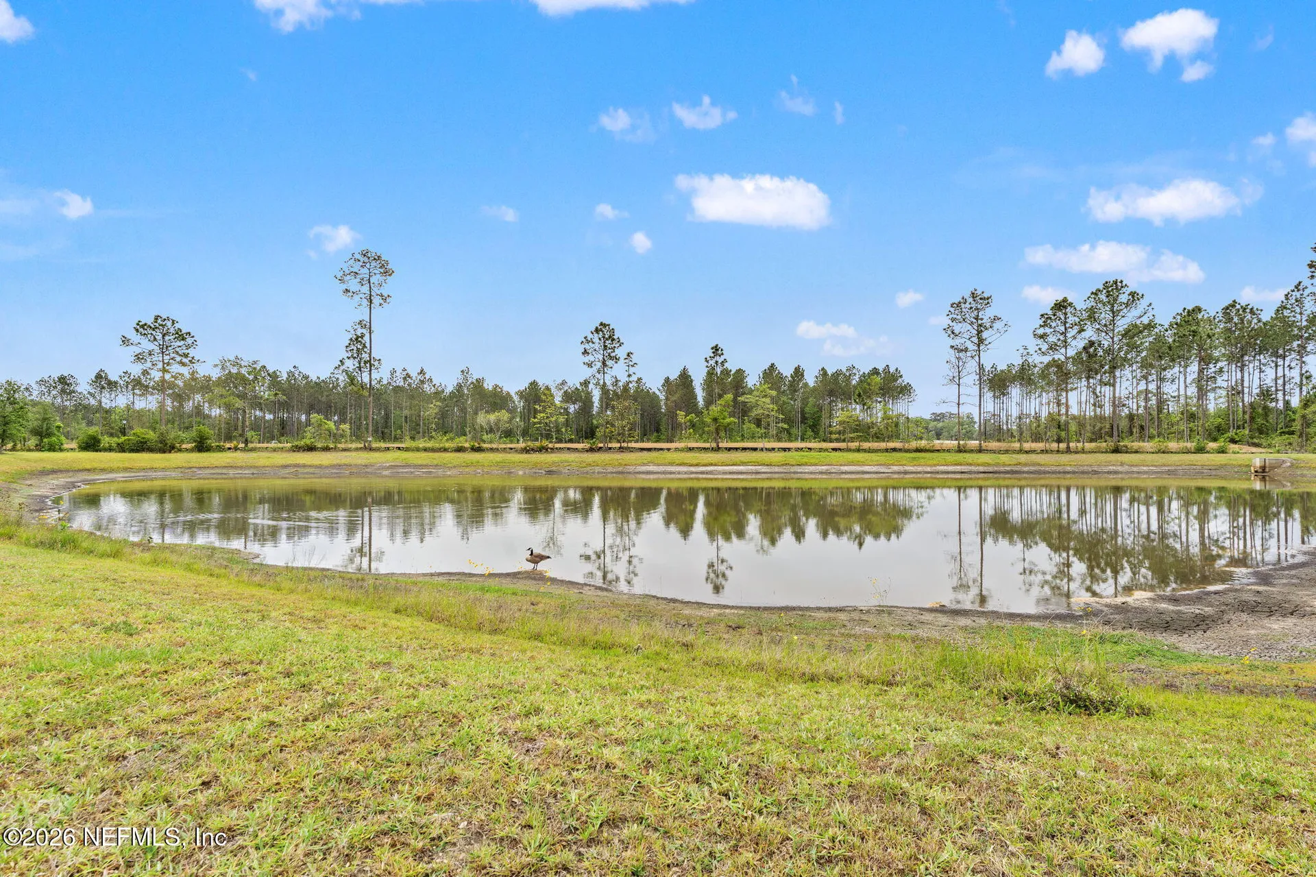 15692 Stedman Lake Drive Jacksonville FL 32218