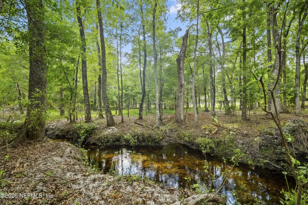 6967 Sharron Road Green Cove Springs FL 32043